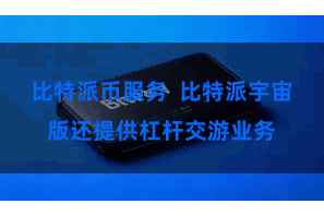 比特派币服务  比特派宇宙版还提供杠杆交游业务